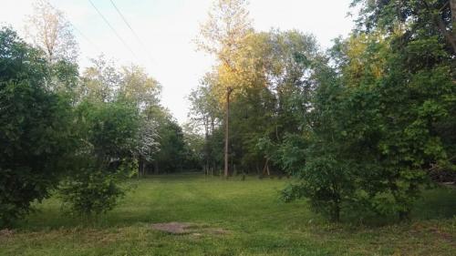 Area Verde Li Blachis