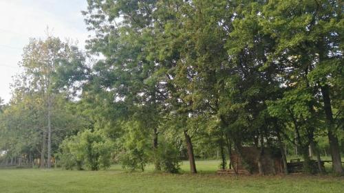 Area Verde Li Blachis