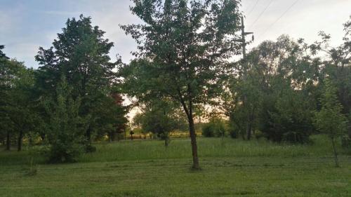 Area Verde Li Blachis
