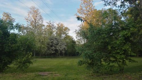Area Verde Li Blachis